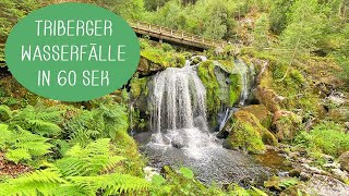 Ausflug zum Triberger Wasserfall  Deutschlands höchste Wasserfälle [upl. by Pachton771]