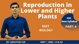 Part4 Ch1 Reproduction in Lower and Higher Plants Class 12 New Syllabus Maharashtra board 2021 [upl. by Huskey]