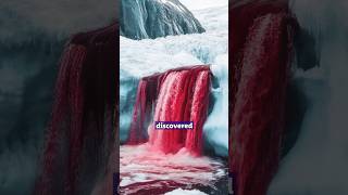 BloodRed Waterfall in Antarctica [upl. by Ark]