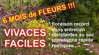 VIVACES FACILES à TRES LONGUE FLORAISON  5 super plantes [upl. by Aticilef]