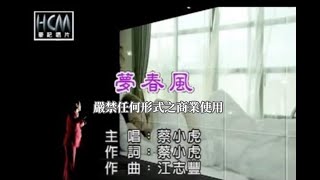 蔡小虎夢春風官方KTV版 [upl. by Nasas]