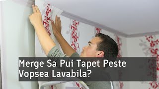 Merge Sa Pui Tapet Peste Vopsea Lavabila  XTDeco [upl. by Isdnil]