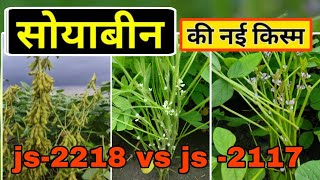 2023 मे कौन सी सोयाबीन रहेगी बेस्ट js 2218 vs js 2117  सोयाबीन की खेती [upl. by Ehttam]