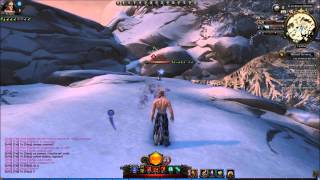 Svarog vs Oiyu 1v1 Neverwinter Mod 5 [upl. by Ailaro]