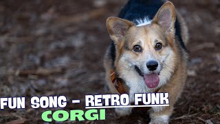 Corgi Shuffle🐾🎶 [upl. by Iruj535]