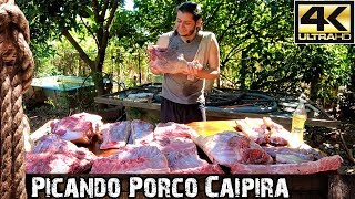 Picando Porco Caipira Forma Tradicional Familiar [upl. by Anyrb551]