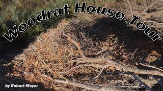 Woodrat House Tour [upl. by Tuck508]