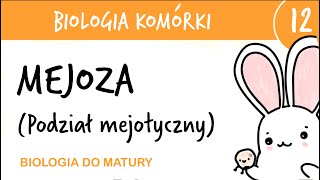 Cytologia 12  Mejoza podział mejotyczny  biologia rozszerzona przygotowanie do matury z biologii [upl. by Smail]