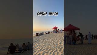 🛑Cherai beach  kochi  couple  vypin  Marine drive [upl. by Matthus]