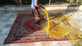 Finding a centipede nestling in the carpet [upl. by Wexler]