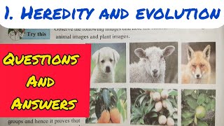 10th Std  Science 2  Chapter 1 HEREDITY AND EVOLUTION QUESTIONS AND ANSWERSEXERCISE  SSC [upl. by Yelsehc]