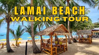 Exploring LAMAI Beach in Koh Samui Thailand [upl. by Baiel749]