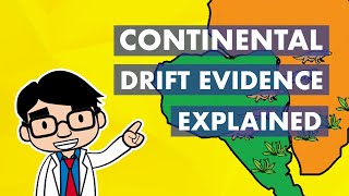 Continental Drift Evidence Explained [upl. by Florence]