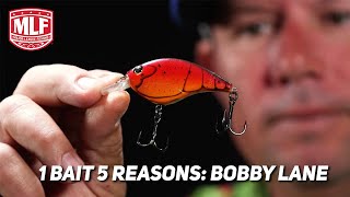 1 Bait 5 Reasons Bobby Lane [upl. by Toddy795]