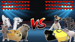 Capybara team vs Maxwell cat team Meme battle [upl. by Ainafetse907]