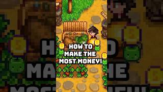 The Best Way To Make Money In Your First Week in Stardew Valley 16 [upl. by Anneirb689]