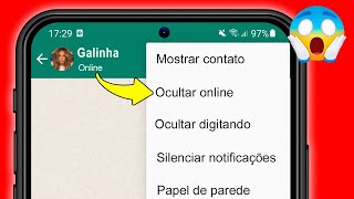 COMO TIRAR O ONLINE NO WHATSAPP APENAS PARA UM CONTATO [upl. by Adnofal]