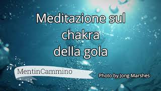 Meditazione sul chakra della gola [upl. by Noisla]