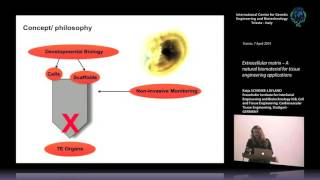 K SchenkeLayland  Extracellular matrix [upl. by Llevad227]