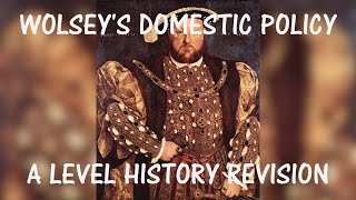 Wolsey’s Domestic Policy [upl. by Niwrad]