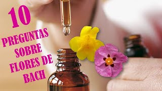 Flores de Bach 10 preguntas frecuentes para que las conozcas mejor [upl. by Herrah]