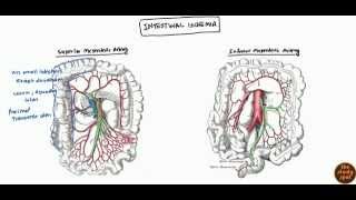 Mesenteric Ischemia Ischemia Bowel and Colonic Ischemia for USMLE Step 2 [upl. by Jillane]