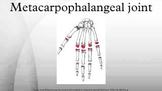 Metacarpophalangeal joint [upl. by Ettelorahc361]