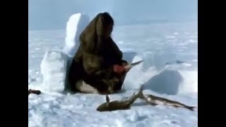 Winter fishing Inuit Зимняя рыбалка [upl. by Lucian]