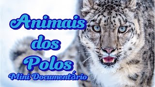 10 Animais Incríveis que Sobrevivem nas Terras Congeladas dos Polosmini documentário [upl. by Kessler]