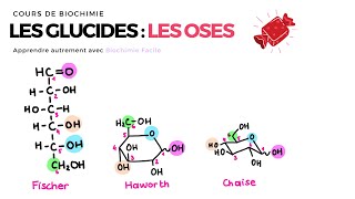 GLUCIDES  LES OSES 🍬 Biochimie Facile [upl. by Amo]