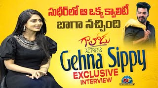 Gaalodu Movie Heroin Gehna Sippy Exclusive Interview  Sudigali Sudheer  NTV ENT [upl. by Wilfred]