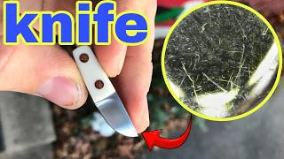 Microscopic Comparison Small Folding Knife vs Pocket Knife [upl. by Annor594]