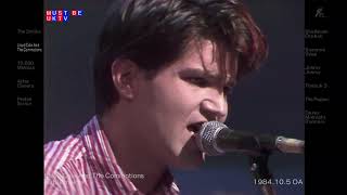 Lloyd Cole and the Commotions  Rattlesnakes Live 1984 [upl. by Abehsat]