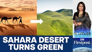 Sahara Turns Green Should we Celebrate or Worry  Vantage with Palki Sharma [upl. by Enidan]