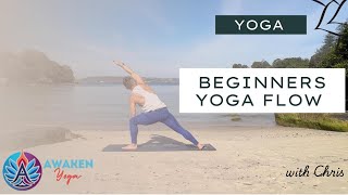 22Minute Beginner Yoga  Start Your Yoga Journey with Strength amp Stretch [upl. by Aidile]