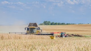 New Holland CR9090 amp Varifeed 10m70 35ft [upl. by Tomkins]