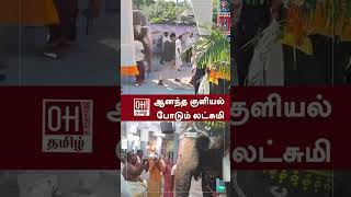 Srirangam Elephant  ஆனந்த குளியல் போடும் லட்சுமி  OH Tamil [upl. by Adlar]