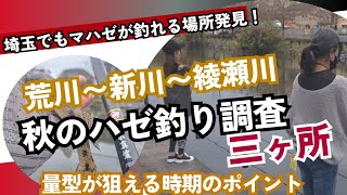 秋のハゼ釣り調査！3ヶ所！荒川〜新川〜綾瀬川、量型が釣れる秋のポイントはいかに！？埼玉でハゼが釣れるポイント発見も！【ハゼ釣り】 [upl. by Eugen527]