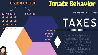 Taxis Orientation Types of Taxes TropotaxisKlinotaxisTelotaxis Menotaxis Mnemotaxis Innate B [upl. by Myron741]