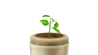 Urna Bios®  La urna biodegradable que te convierte en un árbol [upl. by Nawd]