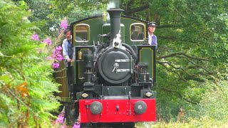 Talyllyn Railway  August 2024 [upl. by Yatnoj]