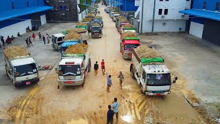 Landfill Huge Size Processing by KOMATSU Bulldozer D53P Pushing Soil with 5TonDump Truck Mix VDO [upl. by Wendye220]