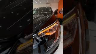 Mahindra XUV 700  Paint Protection Film Installation [upl. by Meier119]