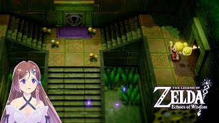 Le labyrinthe de laraignée  THE LEGEND OF ZELDA  ECHOES OF WISDOM 17 [upl. by Fox]