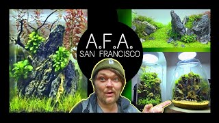 The First Aquascape Focused Store The USA Nano Tanks Aqua Forest Aquarium  San Francisco [upl. by Kliment]