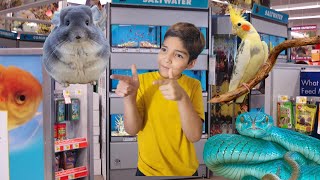 petco fun tour  cute exotic animal [upl. by Hay603]