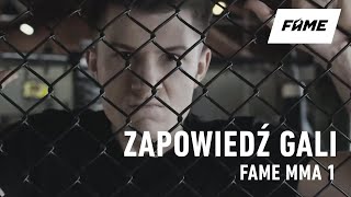 FAME MMA 1 YouTuberzy I Gwiazdy TV Zawalczą W Klatce [upl. by Tolkan869]