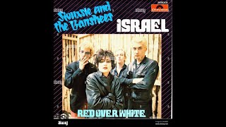 Siouxsie And The Banshees  Israel  basscover 🎸🎵🎼 [upl. by Brinna]