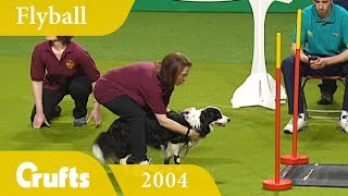 Flyball Final from Crufts 2004  Crufts Dog Show [upl. by Nagiem]