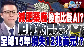 【精華】減肥藥廠後市比擬AI？禮來市值超越特斯拉！肥胖代價大？全球15年損失12兆美元！？ 游庭皓 tvbsmoney 20240227 [upl. by Lauer]